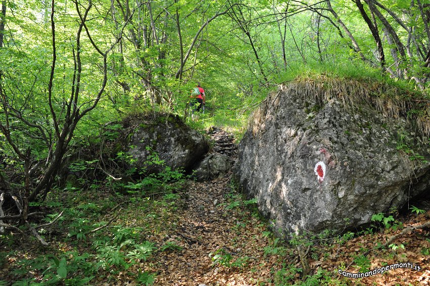 014 Sentiero dell Amicizia Monte Alben La Croce.JPG